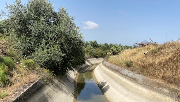 acqua-canale.jpg