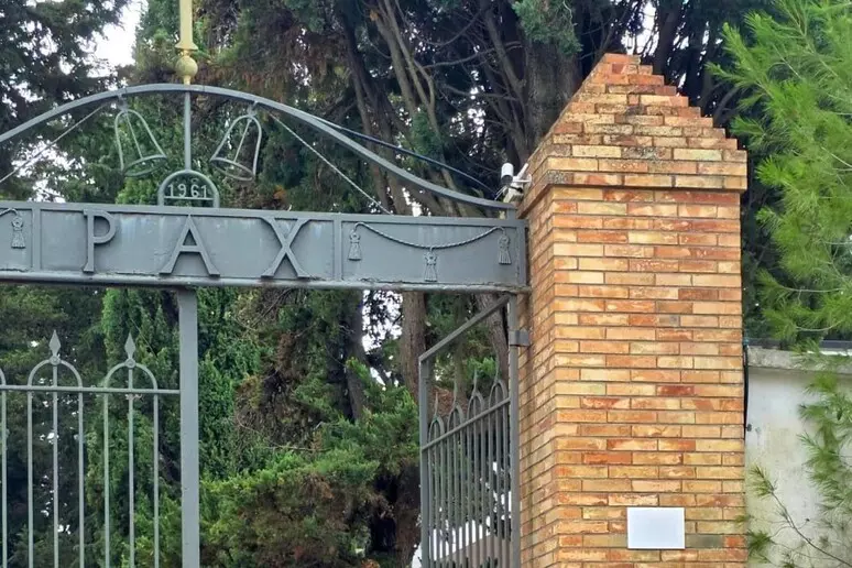 pax.webp
